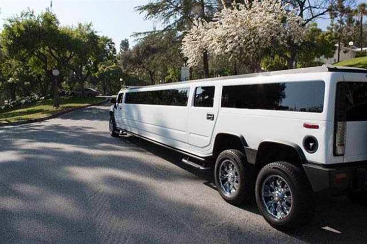 13233856621 LIMO PARTY BUS image 9