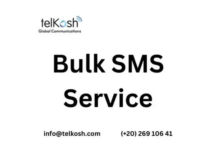 Bulk SMS Service image 1
