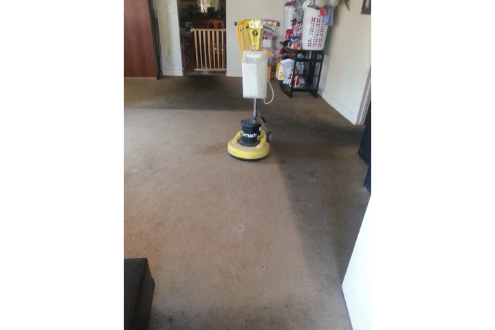 LIMPIEZA D ALFOMBRAS SHAMPOO $ image 2