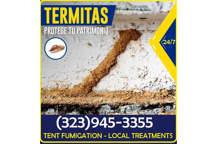 FUMIGACIONES TERMITAS 24/7.- image 5