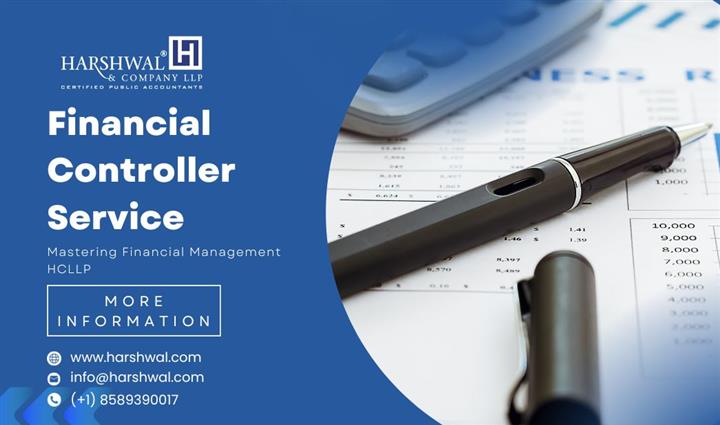 Financial Controller Services image 1