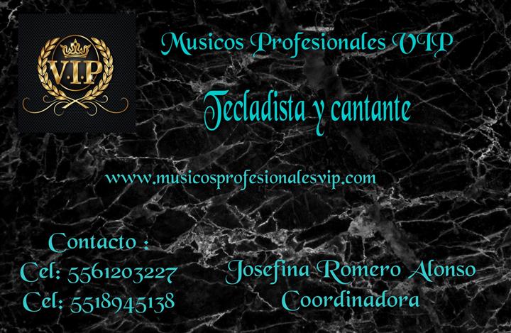 Músicos Profesionales VIP image 6
