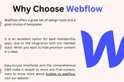 Bubble vs Webflow: Top No Code thumbnail