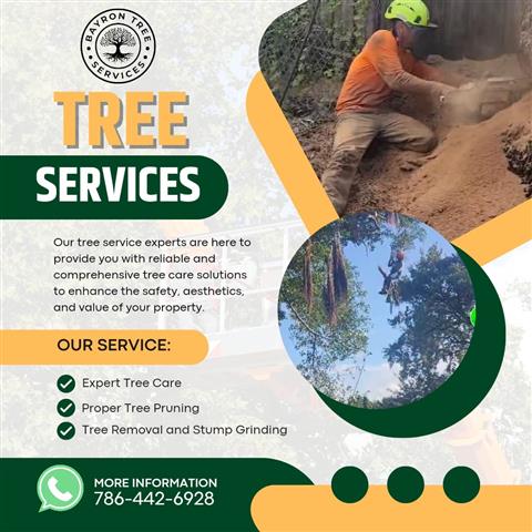 BAYRON TREE SERVICES🌴 image 5