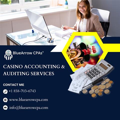 Casino Accounting & Auditing image 1