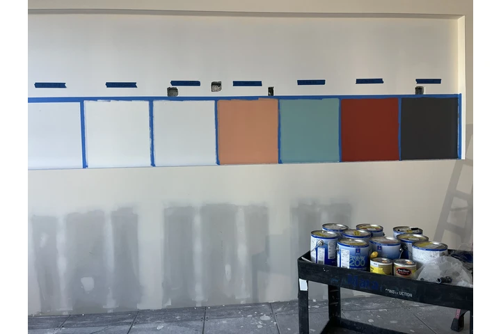 Pintor profesional image 5