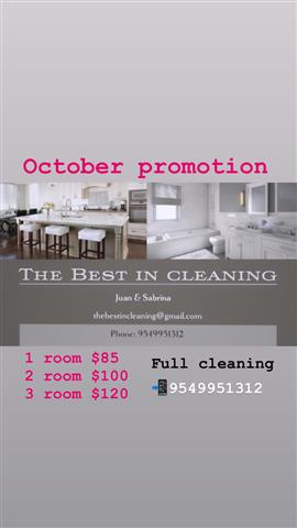 The best in cleaning image 2