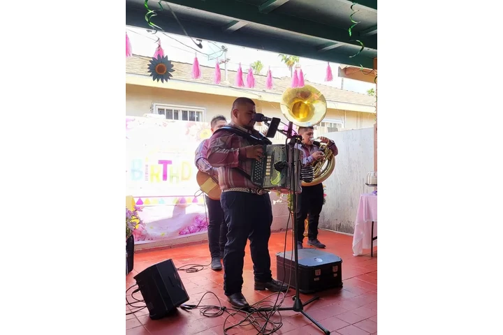 Norteño con tuba 😎🎤🎤🪗🎸🎷 image 1