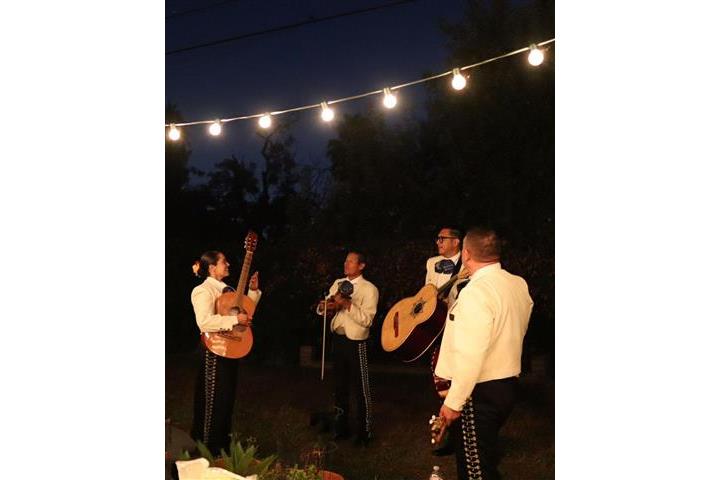 Mariachi Azteca De Oro image 2