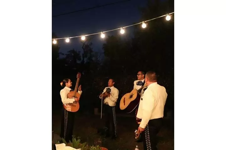 Mariachi Azteca De Oro image 2