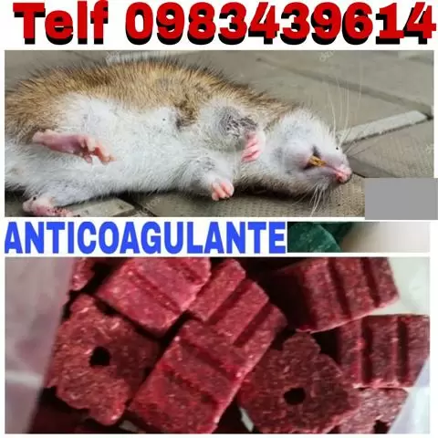 FUMIGACIONES CONTRA VIRUS image 2