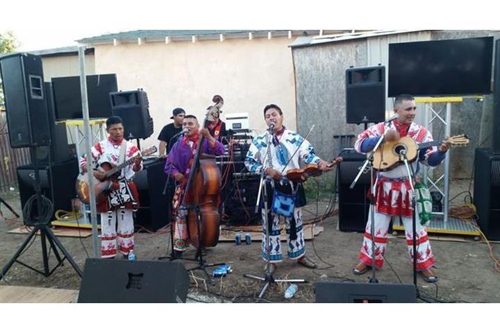 PURO NORTE CONJUNTO MUSICAL image 5