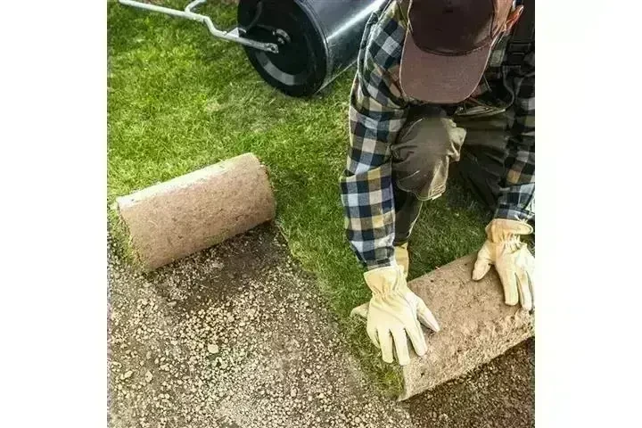 CANALEZ GARDENING SERVICES image 8