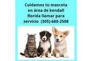Pet Care Kendall Florida en Miami