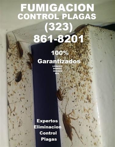 -CONTROL DE RATONES/CUCARACHAS image 3