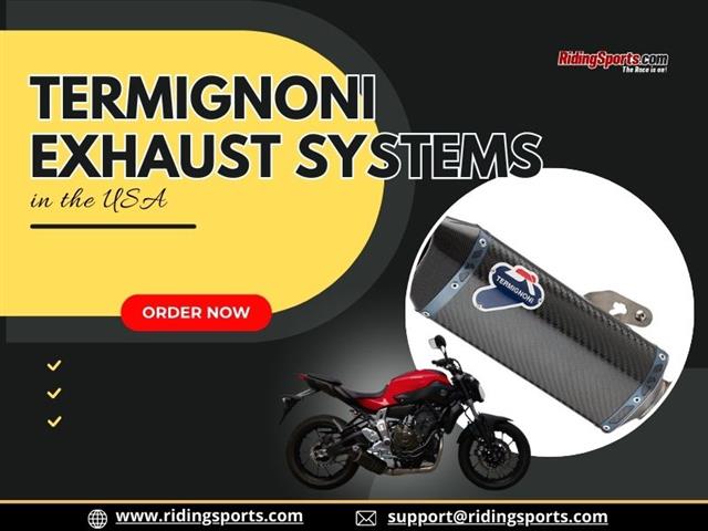 Termignoni Exhaust system image 1