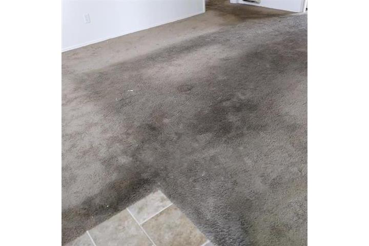 The Best Carpet Cleaning In SD image 5