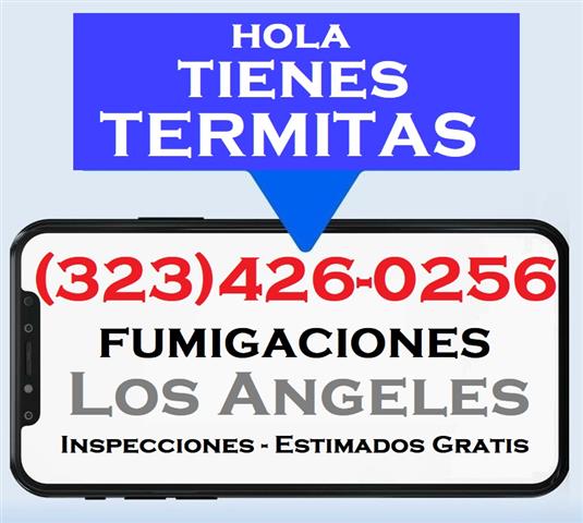 TERMITES ORANGE COUNTY 24/7.- image 2