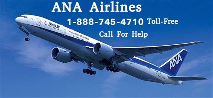 ANA Airlines Manage Booking image 1