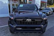 $53255 : 2024 Tacoma TRD Off-Road thumbnail