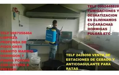 TELF 2428098 CONTROL DE PLAGAS image 2