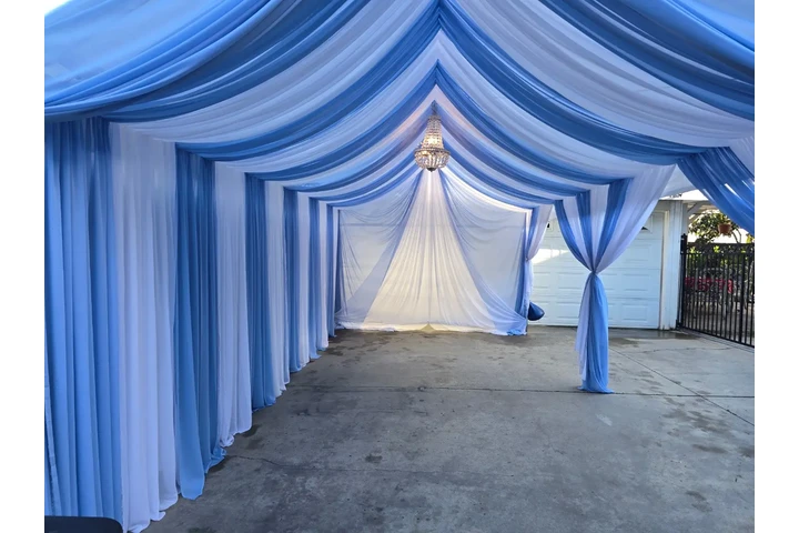 Bulls, tables, tents, draping image 5