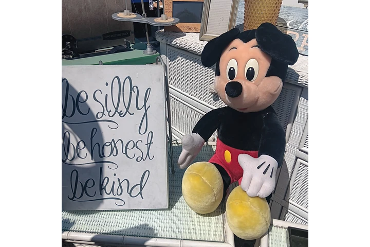 $3 : Venta de Garaje Multifamiliar image 5