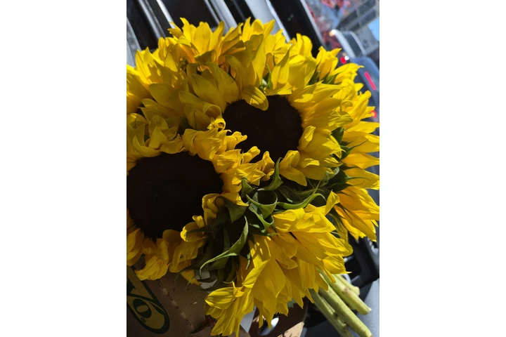 Todo para eventos meceros image 4