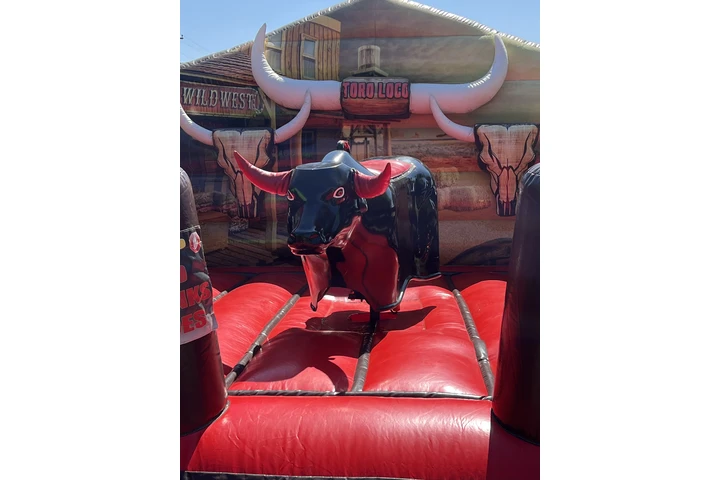 MECHANICAL BULLS FOR RENT image 2