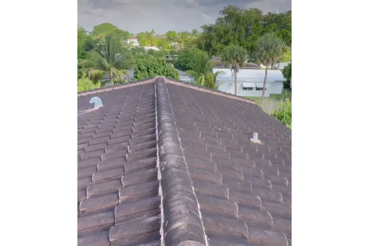 🧼 Roof Cleaning Near Me – Fl image 1