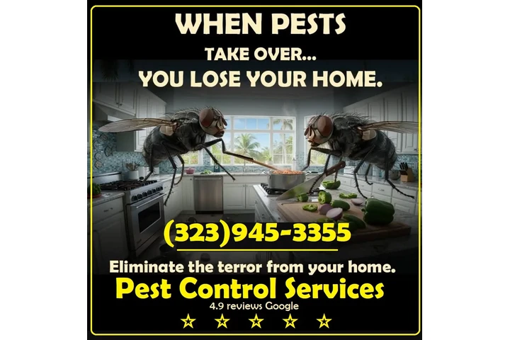 Fumigations - New Year 2026 image 4