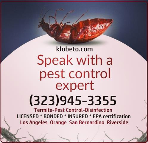 PEST CONTROL SERVICES NEAR ME. image 4