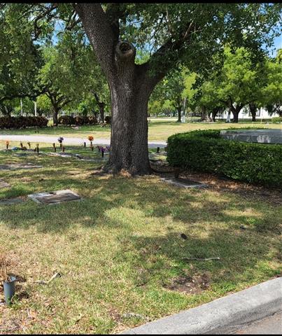 Cementerio Flagler Memorial image 4