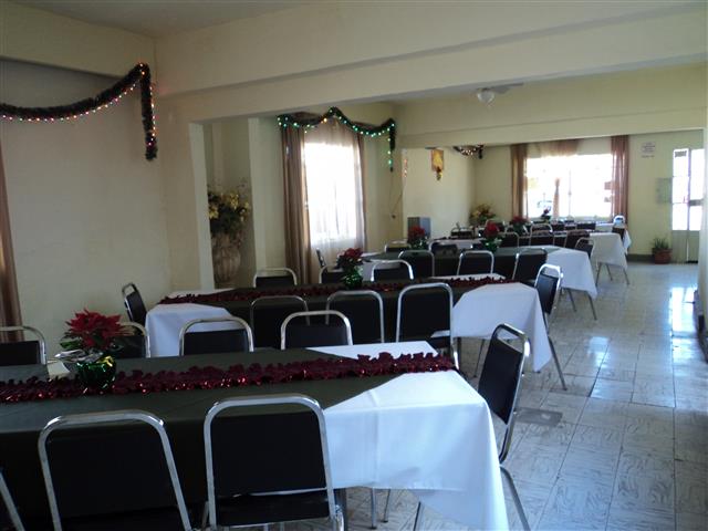 eventos girasol image 9