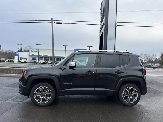 2015  Renegade Limited image 2