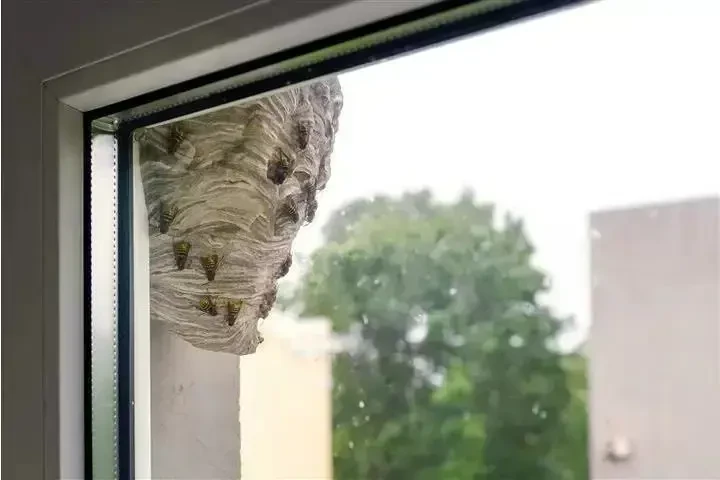 SUPERIOR BEE CONTROL image 2