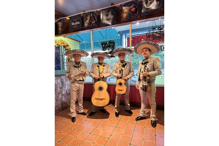 Mariachi Nuevo Tepango image 6