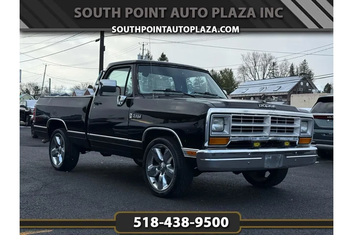 $11998 : 1989 D100 & W100 image 1