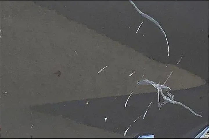 $19985 : Toyota Tundra 2012 4x4 Grade image 8