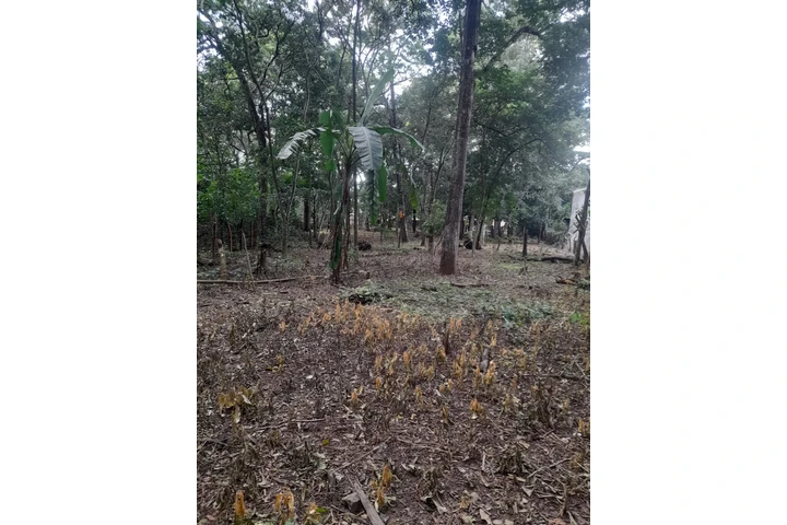 $900000 : Se Vende Amplio Terreno image 4