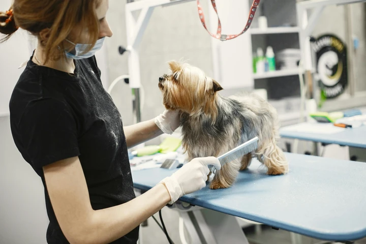 Salon Estetica Canina Broward image 1