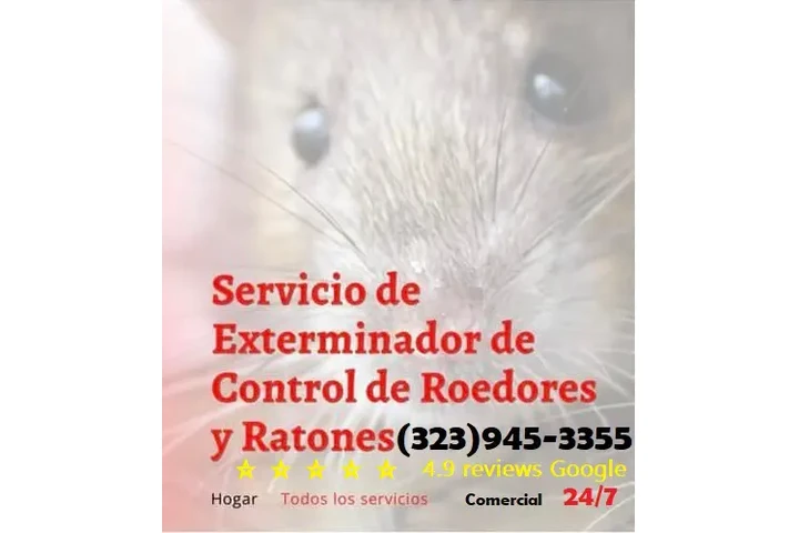 Urgent Pest Control - Same-Day image 10