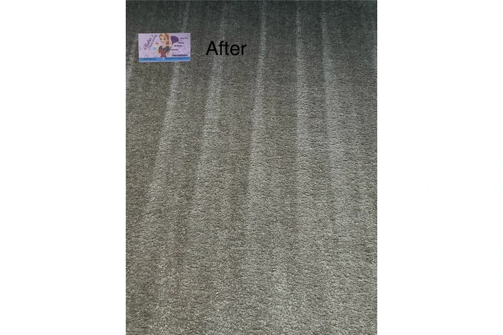 House cleaning image 3