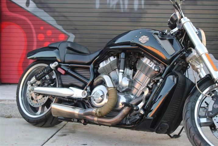 $8900 : Harley Davidson V Rod image 9