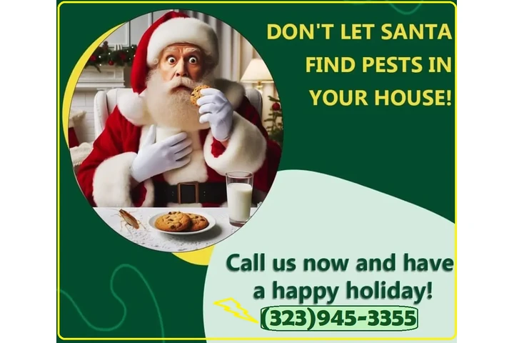 Fumigaciones Navideñas 2025.- image 1