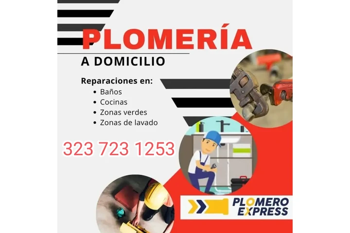 PLOMEROS 323 723 1253 EL BATAN image 1