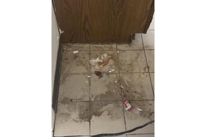 Busco empleo image 2