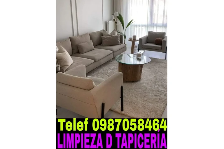 Limpieza Profesional en eQuito image 2