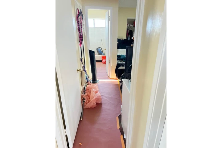 Professional Painter image 2