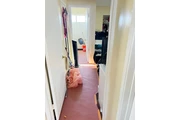 Professional Painter thumbnail